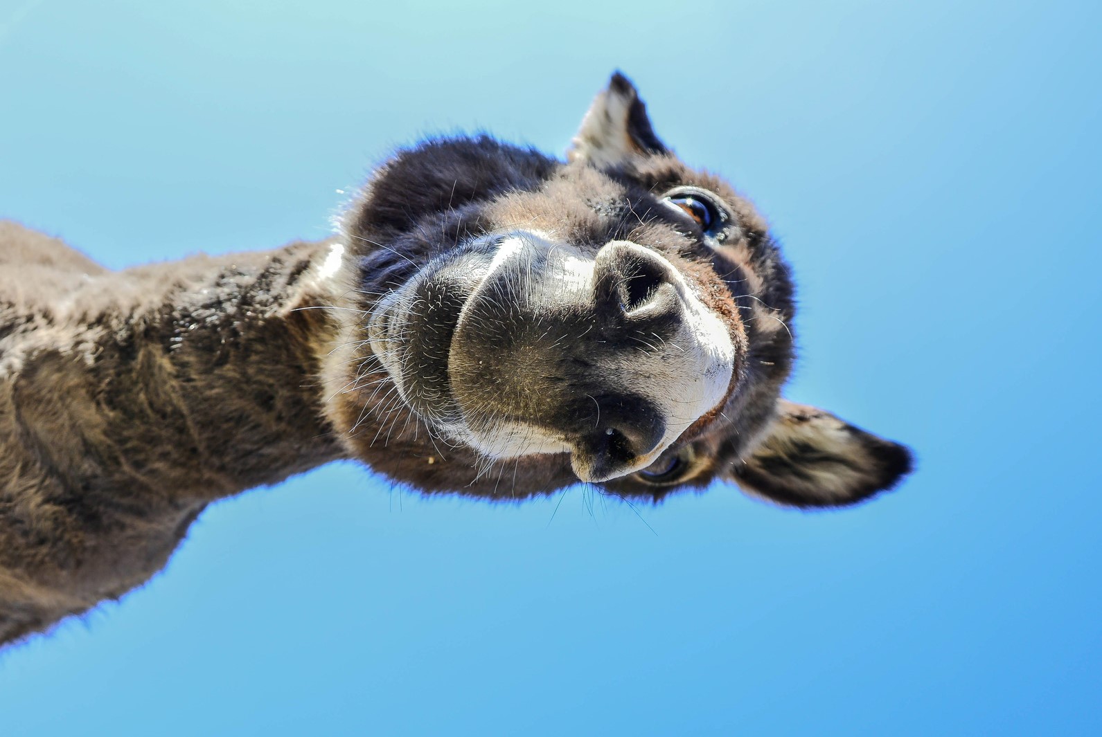 5 IMPACTS OF A SLOW HIRING PROCESS