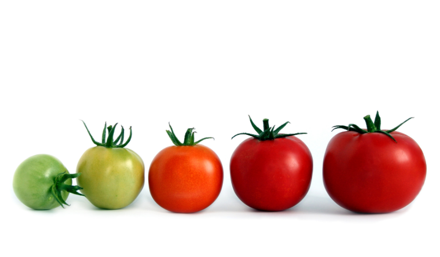 Workforce Planning: Helping to Join the Dots